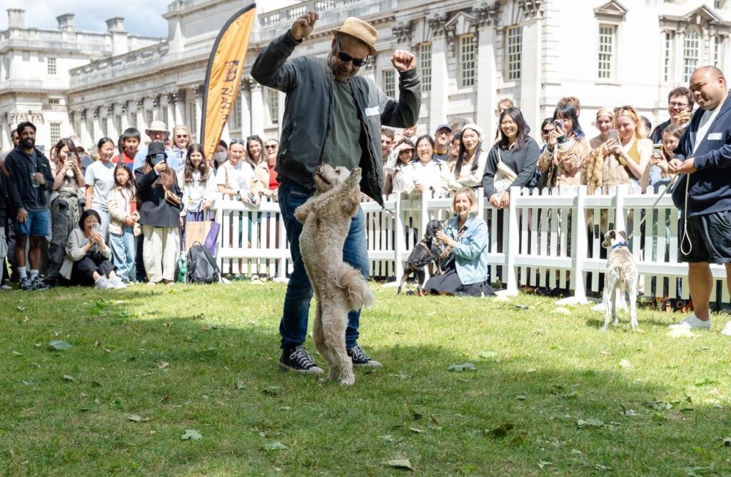 Healthy Owner Healthy Dog