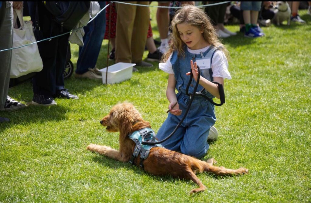 Healthy Owner Healthy Dog